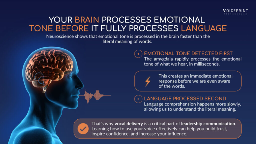 Infographic showing how the brain processes emotional tone before language, highlighting the importance of vocal delivery in leadership communication.